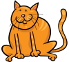 4812464_yellow-cat_s.jpg