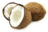 coco.png