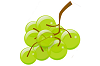uvas.png