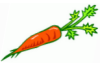 cenoura.png