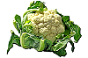 couveflor.png